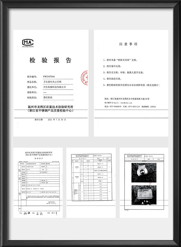 卫生级对夹止回阀检验报告