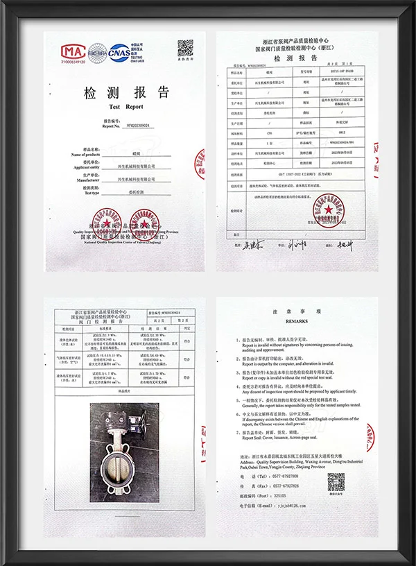 蝶阀检测报告
