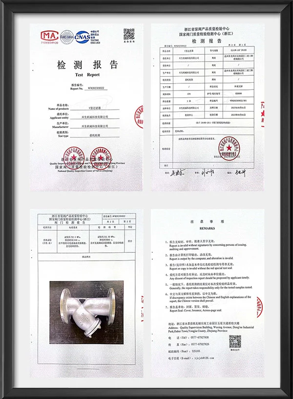 Y型过滤器检测报告