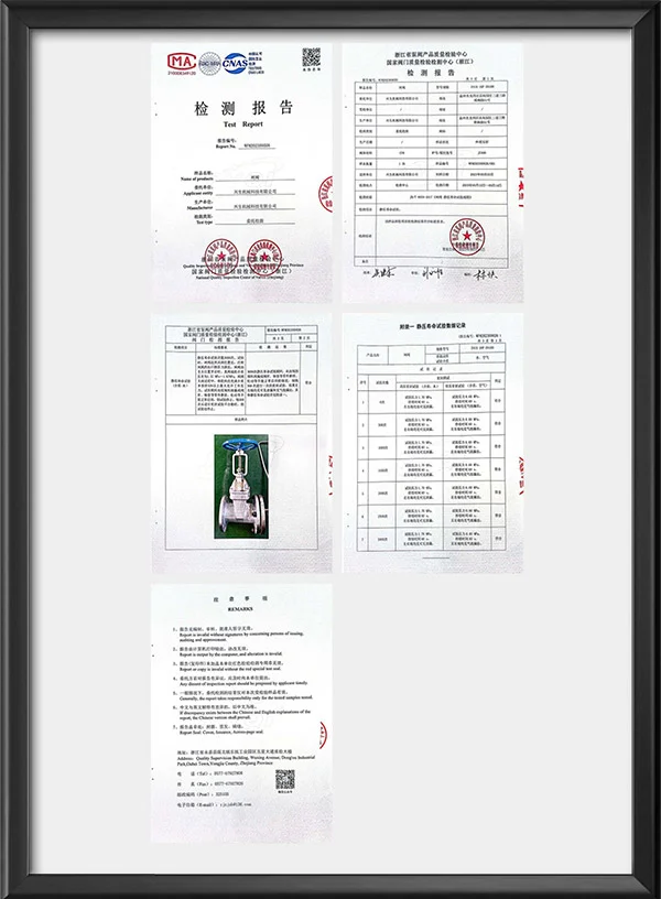 闸阀（寿命试验）检测报告