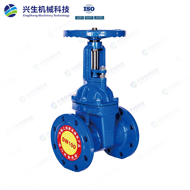 Z41X-25Q法兰明杆闸阀