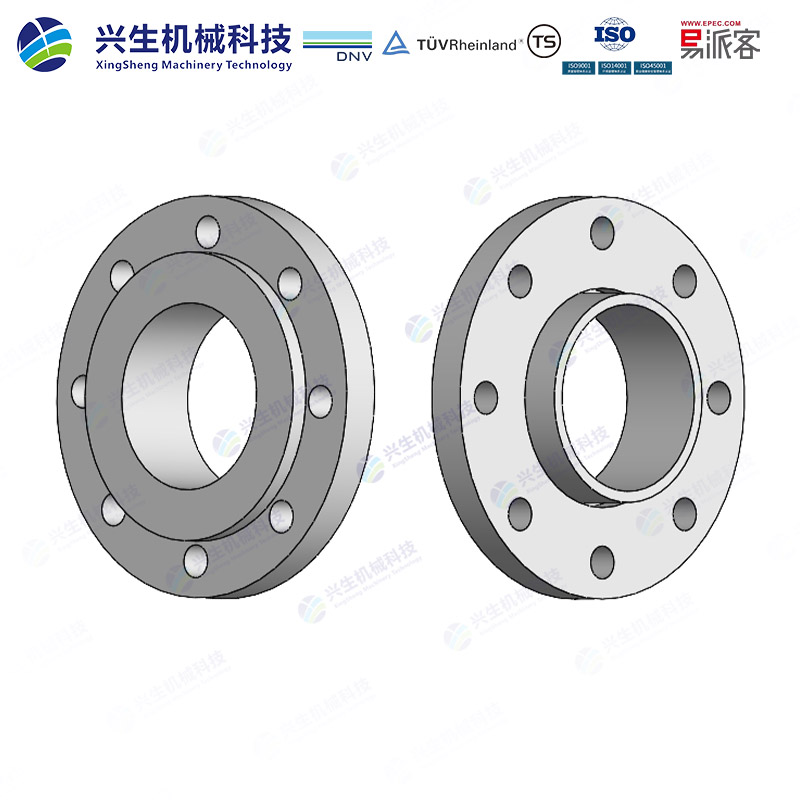 对焊环松套法兰（Loose plate flange weldring neck）-Type 02&35 EN1092-1 ZGXS-装配体