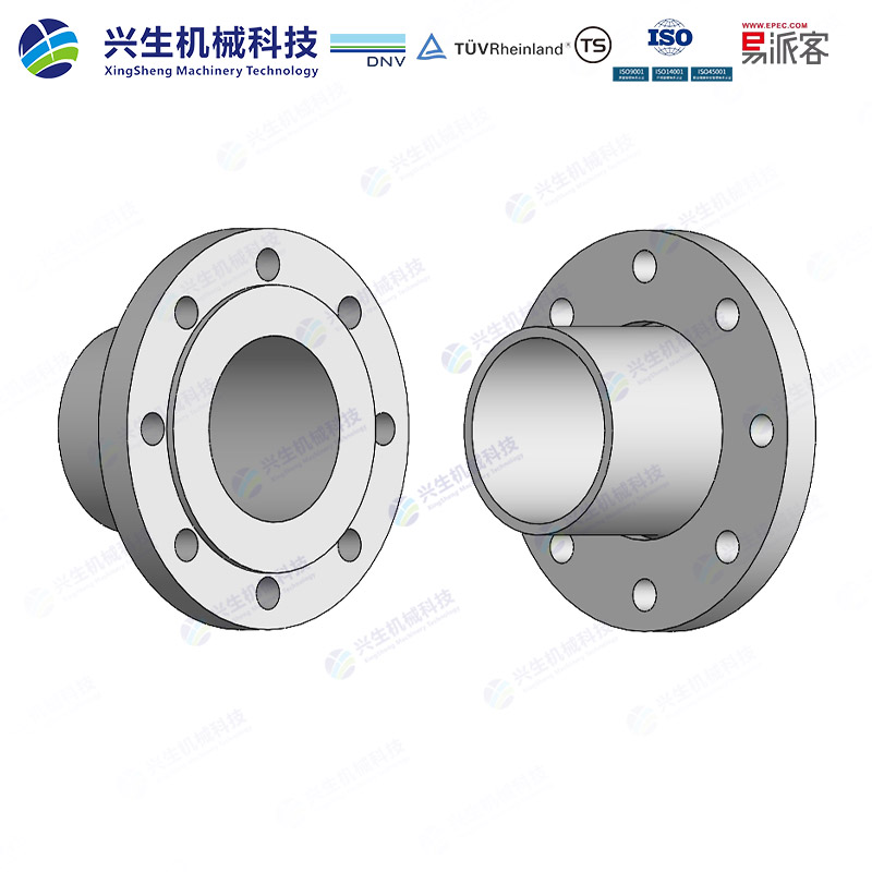 管端翻边松套法兰（Loose plate flange lapped pipe end）-Type 02&33 EN1092-1 ZGXS-装配体