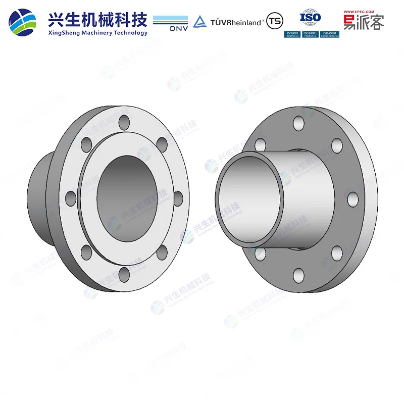 管端翻边松套法兰（Loose plate flange lapped pipe end）-Type 02&33 EN1092-1 ZGXS-装配体