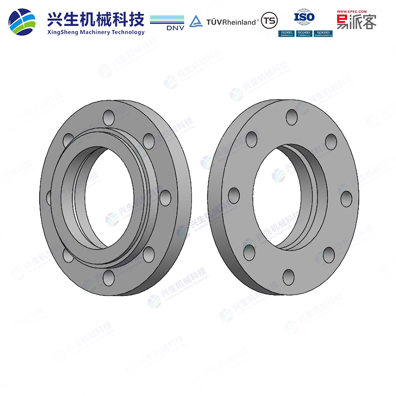 板式平焊松套法兰（Loose plate flange with weld-on collar）-Type 02&32 EN1092-1 ZGXS-装配体