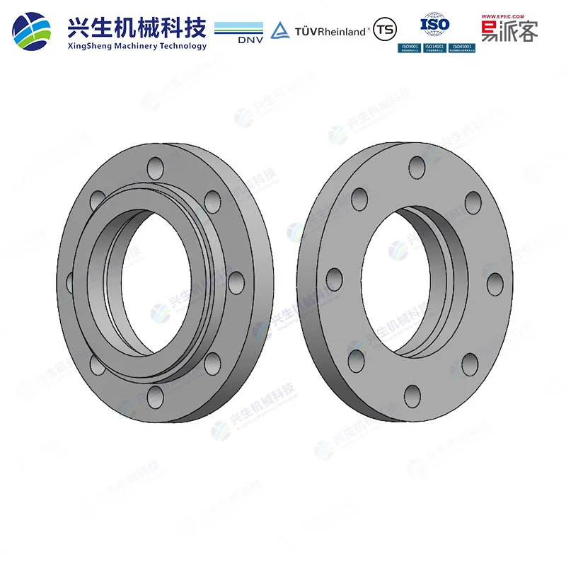 板式平焊松套法兰（Loose plate flange with weld-on collar）-Type 02&32 EN1092-1 ZGXS-装配体