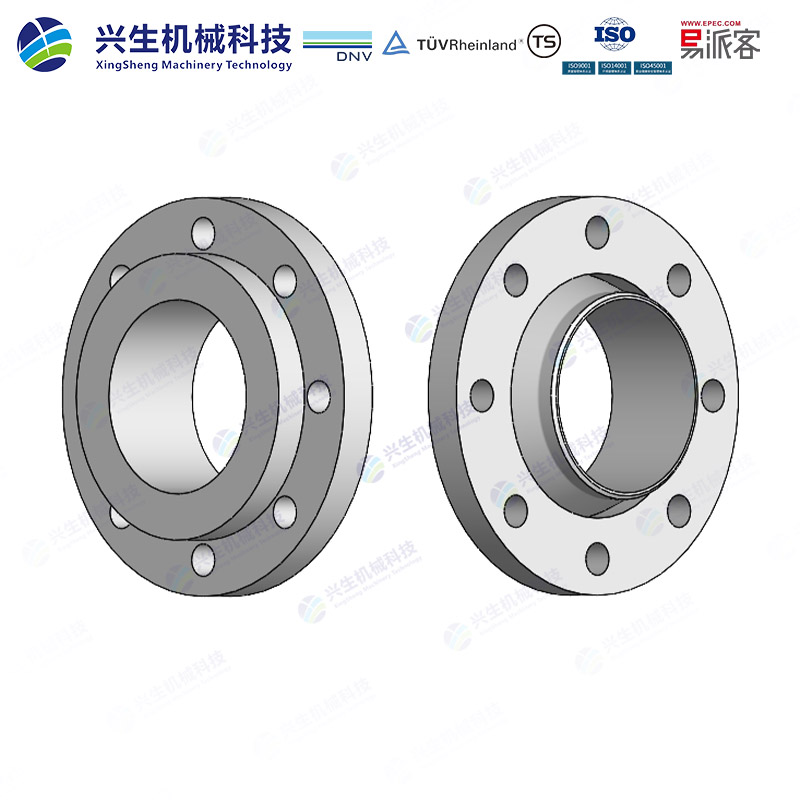 对焊环松套法兰（Loose plate flange with weld-neck collar）-Type 04 GOST 33259-2015 ZGXS-装配体