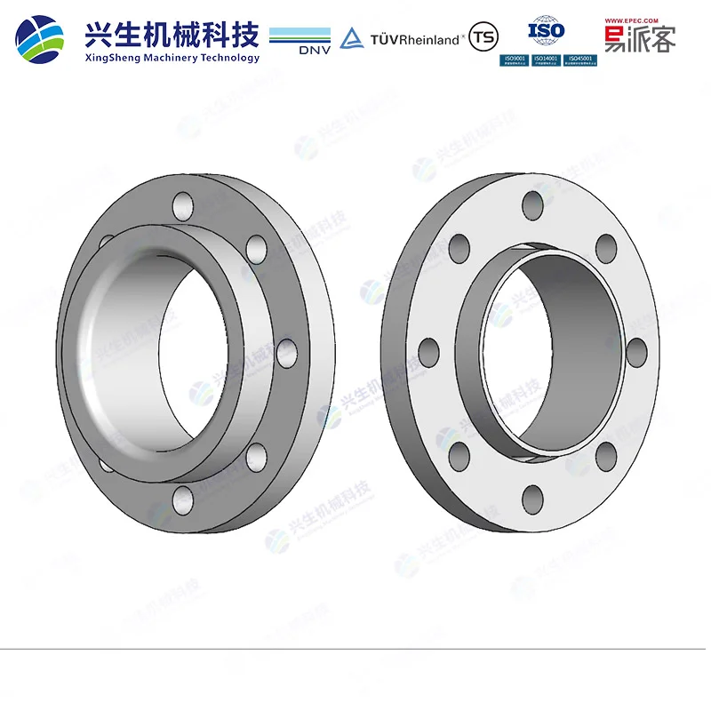 管端翻边松套法兰（Loose plate flange lapped pipe end）-Type 03 GOST 33259-2015 ZGXS-装配体