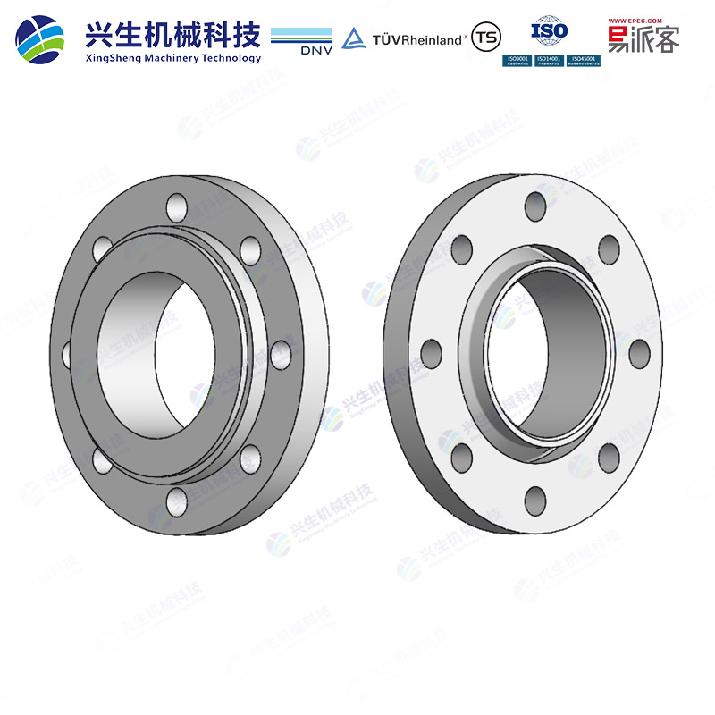 带颈对焊松套法兰（Loose plate flange with weld-neck collar）-Type 02&34 EN1092-1 ZGXS-装配体