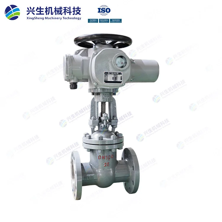 国标电动闸阀